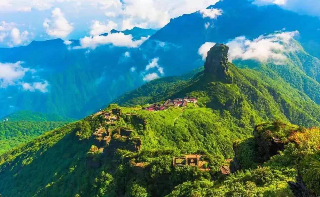 探索知识星球-什么茶适合夏天喝?平台,开启智慧之旅